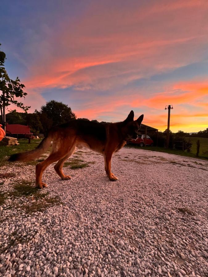 Podere Il Sasso Barberino di Mugello Εξωτερικό φωτογραφία