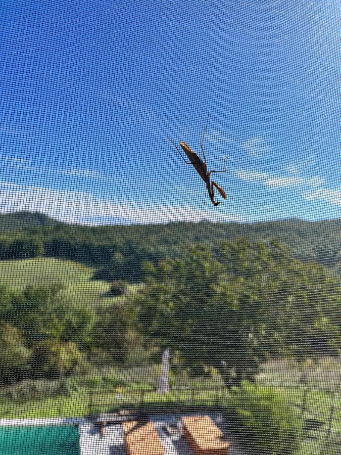 Podere Il Sasso Barberino di Mugello Εξωτερικό φωτογραφία