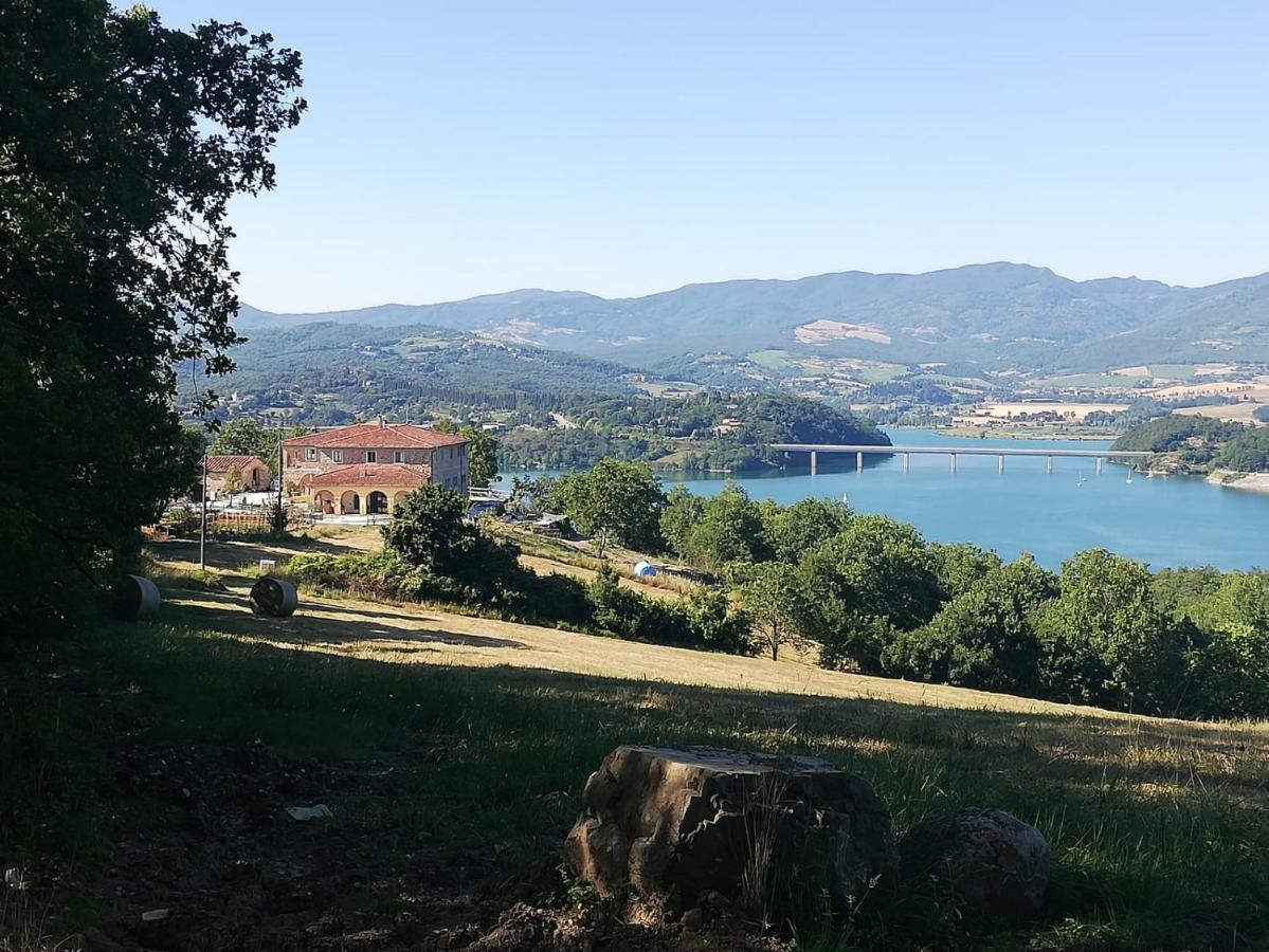 Podere Il Sasso Barberino di Mugello Εξωτερικό φωτογραφία
