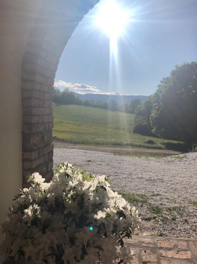 Podere Il Sasso Barberino di Mugello Εξωτερικό φωτογραφία